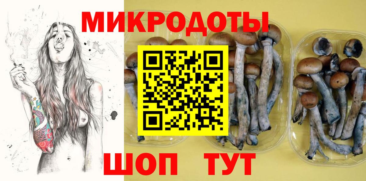 Псилоцибиновые грибы GOLDEN TEACHER Кудрово