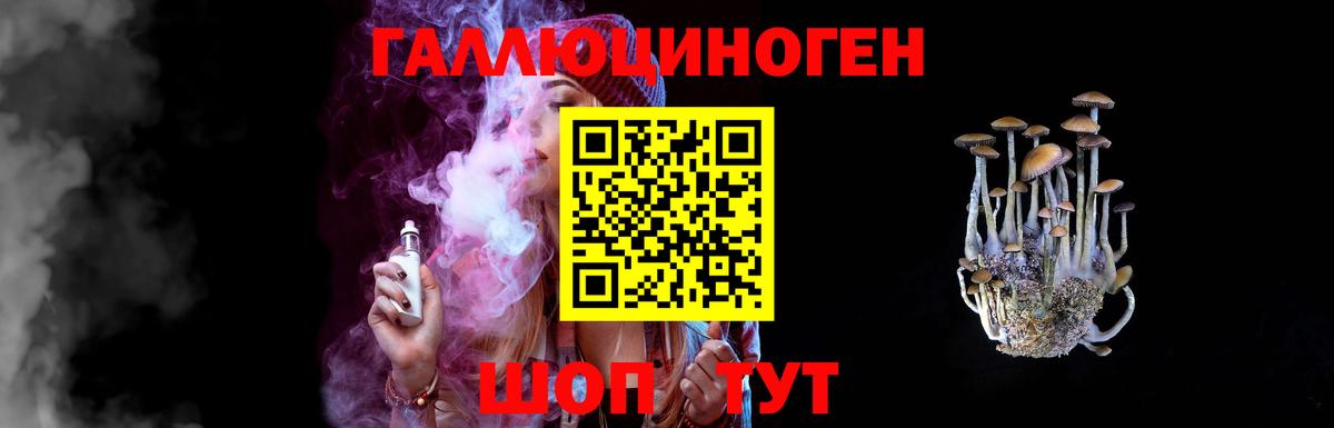 Кудрово  Псилоцибиновые грибы GOLDEN TEACHER  Вход с VPN 