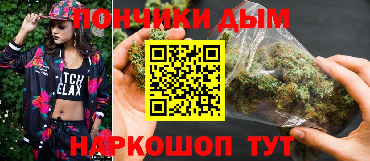 Конопля конопля Кудрово